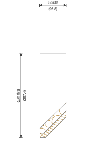 kyapi断面.png